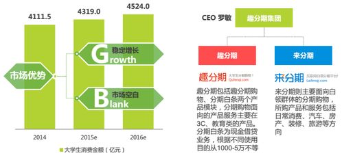 分期電商市場深度調研 現狀、機遇與挑戰